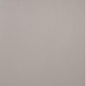 Обои Alessandro Allori Rebecca 15001-3