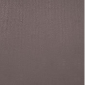 Обои Alessandro Allori Rebecca 15001-6