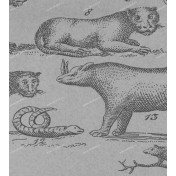 Английские обои Andrew Martin, коллекция Museum, артикул Ark/Cloud