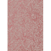 Английские обои Anna French, коллекция Zola, артикул AT34123