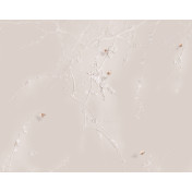 Панно Applico, коллекция Barelief Line, артикул B0074-GL1