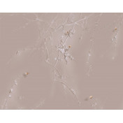 Панно Applico, коллекция Barelief Line, артикул B0074-GL3