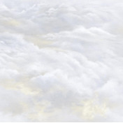 Панно Applico, коллекция Five, артикул 0066-S2