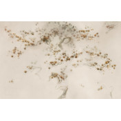 Панно Applico, коллекция Four, артикул 0060-A