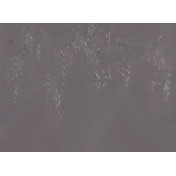 Панно Applico, коллекция Three, артикул 0034-A