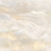 Панно Applico, коллекция Five, артикул 0066-Br1