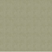 Немецкие обои Architector, коллекция Pavone, артикул PA01621