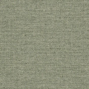 Немецкие обои Architector, коллекция Sauvage Vol. 2, артикул KT40104