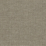 Немецкие обои Architector, коллекция Sauvage Vol. 2, артикул KT40105