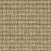 Немецкие обои Architector, коллекция Sauvage Vol. 2, артикул KT40106