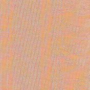 Итальянские обои Arlin, коллекция Festival, артикул JV22-N