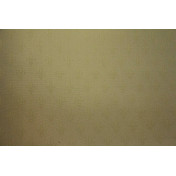 Итальянские обои Arlin, коллекция Firenze, артикул 6FEL-G