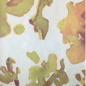 Итальянские обои Arlin, коллекция Natura 3, артикул 2250/Y1