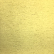 Итальянские обои Arlin, коллекция Naturals, артикул 8NTR-G