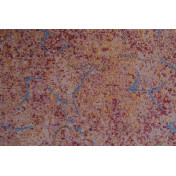 Итальянские обои Arlin, коллекция Tiffany, артикул 15TFM