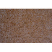 Итальянские обои Arlin, коллекция Tiffany, артикул 4TFM