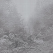 Итальянские обои Armani Casa, коллекция Precious Fibers 2, артикул GA49401