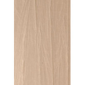 Бельгийские обои Arte, коллекция Embleme, артикул 38006A