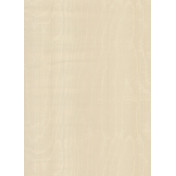 Бельгийские обои Arte, коллекция Mirage, артикул 99000