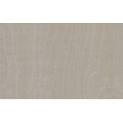 Бельгийские обои Arte, коллекция Mirage, артикул 99012