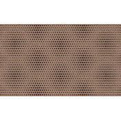 Бельгийские обои Arte, коллекция Moooi (Extinct animals), артикул MO2022