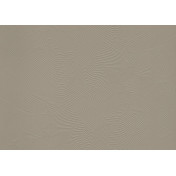 Бельгийские обои Arte, коллекция Moooi Wallcovering Green House, артикул MO5043