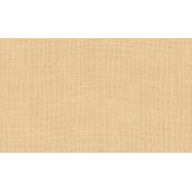 Бельгийские обои Arte, коллекция Palette, артикул 73080B