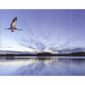 Обои AURA Global Fusion G45276