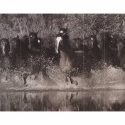 Обои AURA Global Fusion G45278