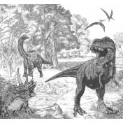 Обои AURA Individuals 111396