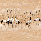 Обои AURA Panorama V104-2-C