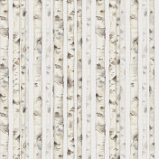 Обои AURA Panorama V107-1-C