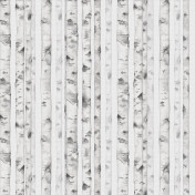 Обои AURA Panorama V107-2-C