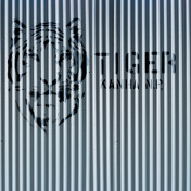 Обои AURA Panorama V125-1-C