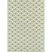 Английские обои Baker Lifestyle, коллекция Homes & Gardens ll, артикул PW78021/2