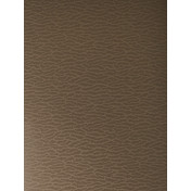 Американские обои Barry Dixon, коллекция Vervain, артикул 90008W/04