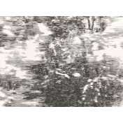 Английские обои Black Edition, коллекция Mizumi, артикул W919-01