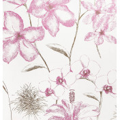 Английские обои Blendworth, коллекция Conversation, артикул 267906