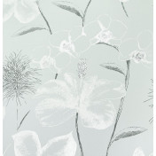 Английские обои Blendworth, коллекция Conversation, артикул 267913