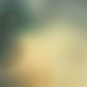 Панно Calico, коллекция Aura, артикул Mani