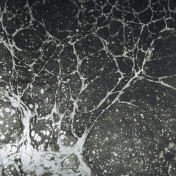 Панно Calico, коллекция Lunaris, артикул Midnight