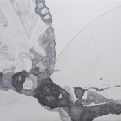 Панно Calico, коллекция Microcosmos, артикул Drift