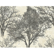 Английские обои Carl Robinson, коллекция Edition 12, артикул CR41200