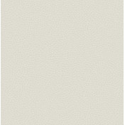 Английские обои Carl Robinson, коллекция Edition 17 - Loft, артикул CR83001