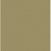 Английские обои Carl Robinson, коллекция Edition 17 - Loft, артикул CR83005