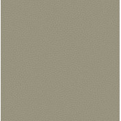 Английские обои Carl Robinson, коллекция Edition 17 - Loft, артикул CR83006