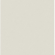 Английские обои Carl Robinson, коллекция Edition 17 - Loft, артикул CR88001