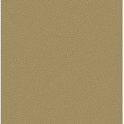 Английские обои Carl Robinson, коллекция Edition 17 - Loft, артикул CR88005