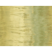 Английские обои Carl Robinson, коллекция Edition 2, артикул CB24404