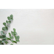 Английские обои Carl Robinson, коллекция Edition 20 White Natural Textures, артикул CL50047: премиальные дизайнерские обои для стильного интерьера